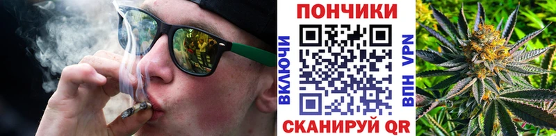 Купить закладки  Новошахтинск  Канабис семена 